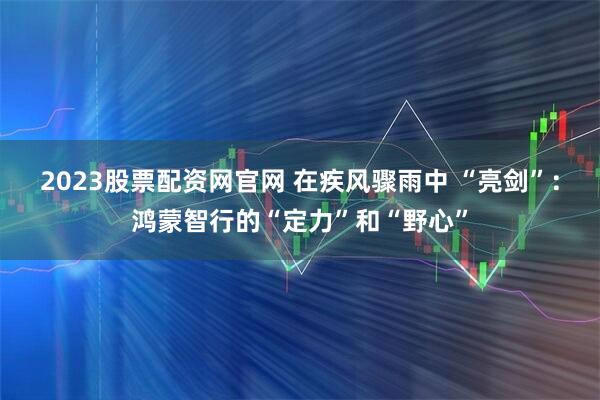 2023股票配资网官网 在疾风骤雨中 “亮剑”：鸿蒙智行的“定力”和“野心”