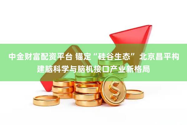 中金财富配资平台 锚定“硅谷生态” 北京昌平构建脑科学与脑机接口产业新格局