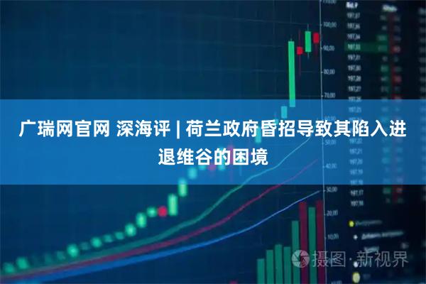广瑞网官网 深海评 | 荷兰政府昏招导致其陷入进退维谷的困境