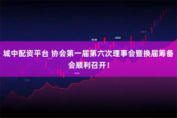 城中配资平台 协会第一届第六次理事会暨换届筹备会顺利召开！