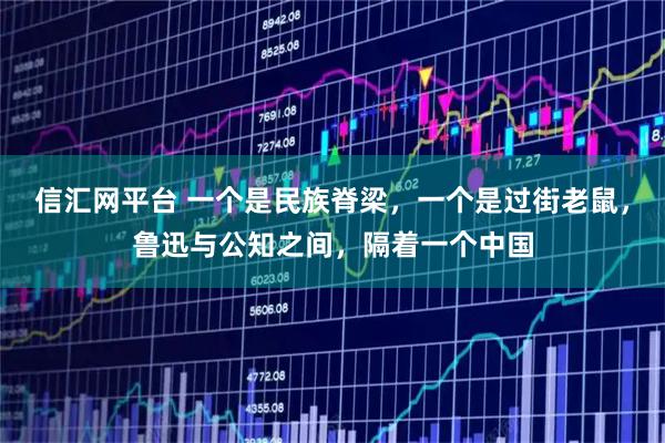 信汇网平台 一个是民族脊梁，一个是过街老鼠，鲁迅与公知之间，隔着一个中国